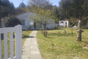 Maison à Saint-Augustin/mer proche de Saint Palais